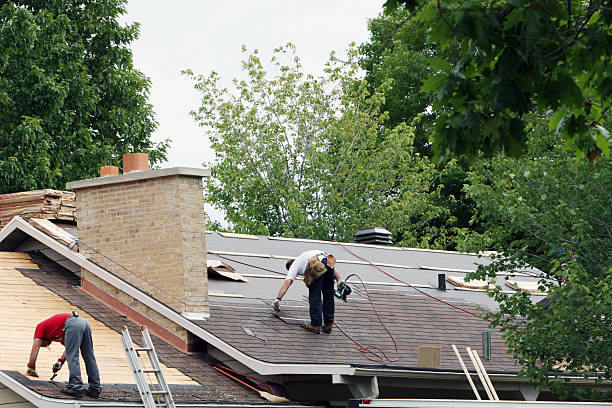 Best Gutter Installation and Roofing  in Hampton, GA