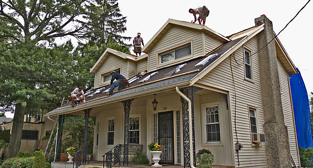 Best New Roof Installation  in Hampton, GA
