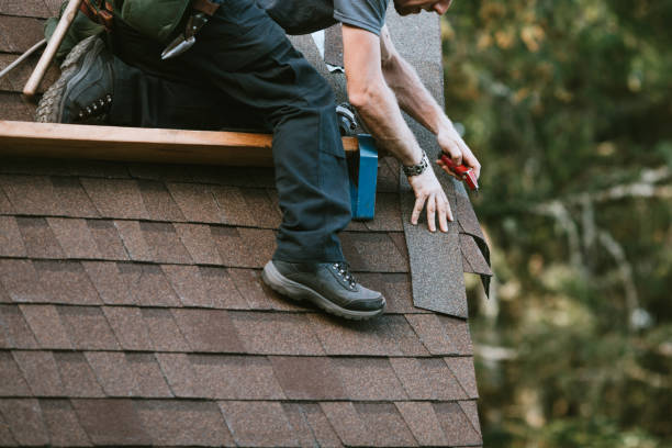 Best Roof Gutter Cleaning  in Hampton, GA